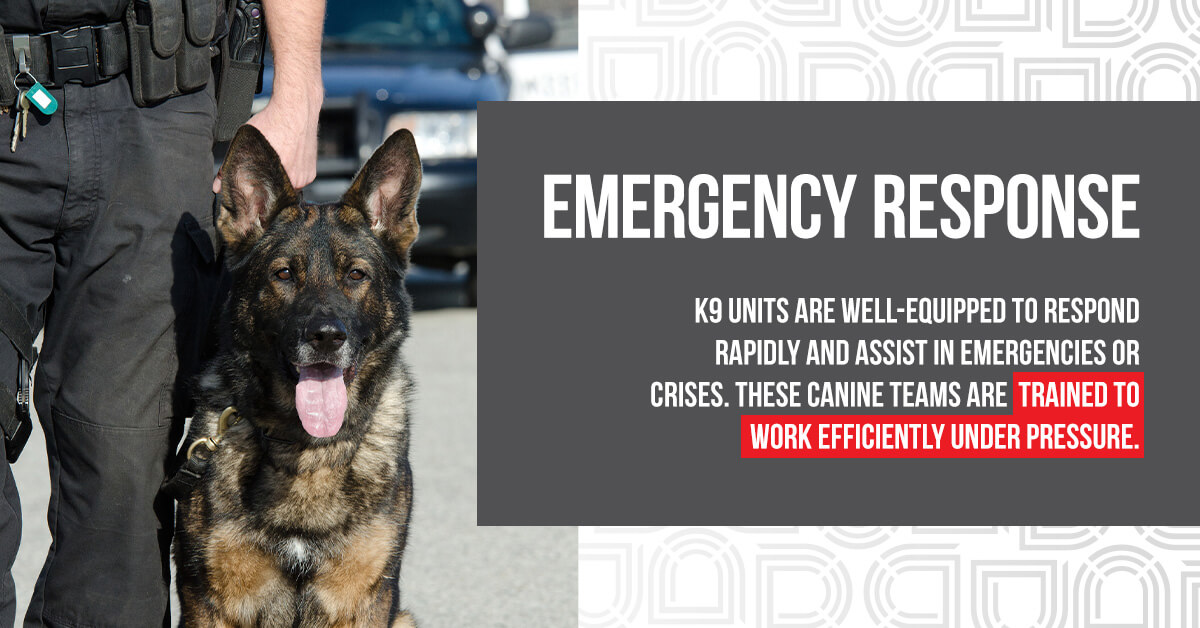 canine emergency response