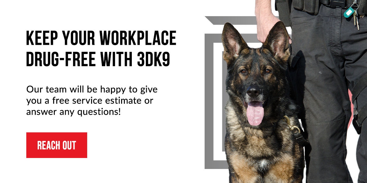 Keep Your Workplace Drug-Free With 3DK9